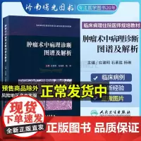 肿瘤术中病理诊断图谱及解析 临床病理住院医师规范化培训实践系列教材 应建明 石素胜 杨琳 编 人民卫生出版社978711