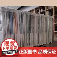 [单册任选]正版 当代激进思想家译丛系列 视觉机器 审美无意识 哲学宣言 南京大学出版社
