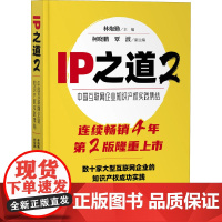 IP之道 2 中国互联网企业知识产权实践集结 互联网产业知识产权管理的基本逻辑和具体保护的应对之策 知识产权出版社