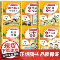 二年级下册阅读理解看图写话语文专项训练同步课本人教版必背古诗词训练 字词句训练 内容填空归类训练(套装6册)