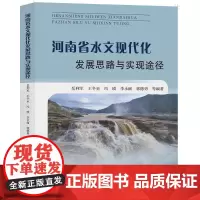河南省水文现代化发展思路与实现途径 岳利军 著 地球物理学专业科技 正版图书籍 黄河水利出版社