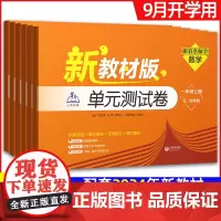 跟着名师学数学单元测试卷语文英语新教材全解全练小学一二三四五六上册下册部编版教材配套同步练习题册测试卷全套上海教育出版社