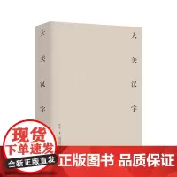 大美汉字 徐超 /著 甲骨文 金文 汉字 传统文化 书西师范大学出版社