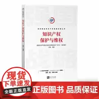 知识产权保护与维权 陈栋 编著 知识产权出版社