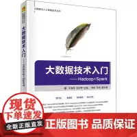 大数据技术入门——Hadoop+Spark 于海浩,刘志坤 编 其它计算机/网络书籍专业科技 正版图书籍 清华大学出版社