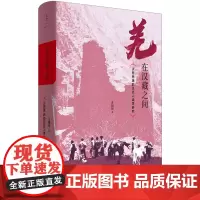 全本修订再版 羌在汉藏之间:川西羌族的历史人类学研究《华夏边缘》作者王明珂经典力作川西羌族全解民族史民族志写作范本世纪文