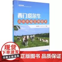 西门塔尔牛高效养殖实用技术 9787109279926 养牛技术书籍牛病类症鉴别与诊治肉牛西门塔尔牛养殖母牛繁殖科学诊