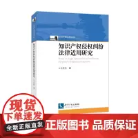 知识产权侵权纠纷法律适用研究 兰丹丹 知识产权出版社