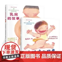 儿童性教育系列(2册)乳房的故事 小鸡鸡的故事 精装 5岁以上 了解身体 预防性犯罪 蒲蒲兰绘本馆店