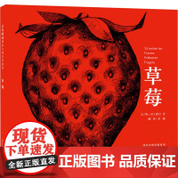 草莓 (日)新宫晋 著 米雅 译 其它儿童读物少儿 正版图书籍 河北教育出版社