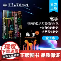 正版[2本]高手 精英的见识和我们的时代+你有你的计划 世界另有计划 青春文学小说成功励志书籍 智识分子做个复杂的现代人