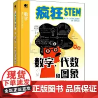 数字、代数和图象 英国Brown Bear Books 著 牟晨琪 译 科普读物其它文教 正版图书籍 电子工业出版社