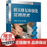 模具修复和强化实用技术 汪瑞军,马小斌,徐林 编 机械工程专业科技 正版图书籍 化学工业出版社