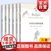小径分岔的花园/沙之书/恶棍列传/阿莱夫/布罗迪报告/杜撰集 博尔赫斯全集王永年译现当代拉美文学作品集上海译文出版社外国