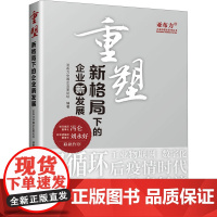 重塑 新格局下的企业新发展 亚布力中国企业家论坛 编 金融投资经管、励志 正版图书籍 知识产权出版社