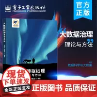 正版 大数据治理 理论与方法 大数据治理基础认识 数据架构管理 主数据管理 大数据集成 大数据治理技术 数据架构设计教程