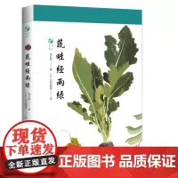 蔬畦经雨绿(草木闲趣书系)
