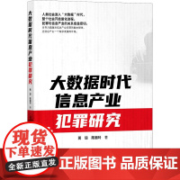 大数据时代信息产业犯罪研究 蒋琼,陈丽玲 著 法律汇编/法律法规社科 正版图书籍 知识产权出版社