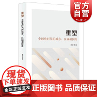 重塑:全球化时代的城市、区域和网络