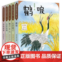 [狼的故事 鹤唳 狐狸敲门 警犬66号 丛林猞猁]金曾豪精品动物小说 全5册 金曾豪 著 中国儿童文学