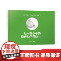 从一颗小小的绿色种子开始精装绘本图画书艺术的语言讲述人文与科学的图画书认识自己探索自然少年儿童出版社正版童书