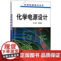 化学电源设计 王力臻 等 编 电工技术/家电维修专业科技 正版图书籍 化学工业出版社