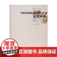 中国电视剧名剧鉴赏辞典 武汉出版社 原装正版