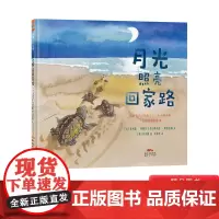 月光照亮回家路精装绘本教会孩子如何成为一名小小社会活动家3-4-5-6岁适读蒲蒲兰正版童书