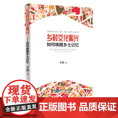 乡村文化振兴——如何唤醒乡土记忆 齐骥 特里·N·克拉克 知识产权出版社