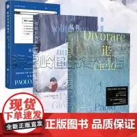 保罗乔尔达诺小说3册套装 逆光之夏 质数的孤独(十周年特别版) 新冠时代的我们  斯特雷加文学奖得主外国小说