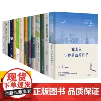克林索尔的最后夏天 赫尔曼黑塞作品集15册 悉达多 流浪者之歌 轮下 荒原狼 在轮下 玻璃球游戏 黑塞童话 诺贝尔文学