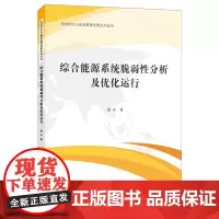 综合能源系统脆弱性分析及优化运行