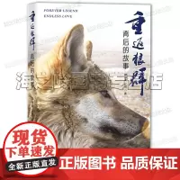 重返狼群背后的故事 一部 人狼情未了 的旷世传奇 一份难以割舍、恒以在怀的牵挂 一段探寻人与自然和谐