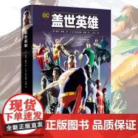 正版[赠明信片×5] 盖世英雄 精装 超级英雄挺身而出解决社会问题 美国DC经典漫画书籍超人蝙蝠侠神奇女侠正义联盟