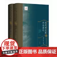 清代诗文集珍本丛刊(总目 索引 提要)(套装全二册)