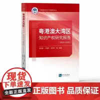 粤港澳大湾区知识产权研究报告(2019-2020)曾凤辰 卢纯昕 刘洪华等 知识产权出版社