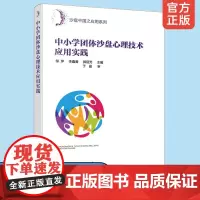 中小学团体沙盘心理技术应用实践 沙盘中国之应用系列 沙盘心理技术书籍 儿童心理咨询与研究人员应用书籍 学生心理发展指导书