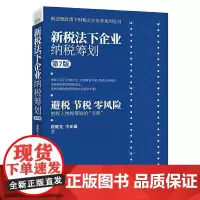 新税法下企业纳税筹划 第7版 新法规政策下财税会计实务系列丛书翟继光 避税节税纳税人纳税筹划案例指南法律文件 纳税申报书