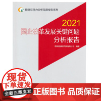 能源与电力分析年度报告系列 2021 国企改革发展关键问题分析报告