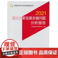 能源与电力分析年度报告系列 2021 国企改革发展关键问题分析报告