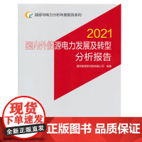 能源与电力分析年度报告系列 2021 国内外能源电力发展及转型分析报告