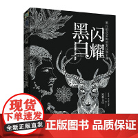 黑白闪耀——黑白创意装饰图案绘制宝典