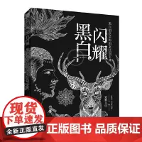 黑白闪耀——黑白创意装饰图案绘制宝典