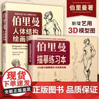 伯里曼人体结构绘画教学(赠:伯里曼描摹练习本) 3D模型对比素描基础教程 理解人体形态基础入门 人体结构造型手绘解剖技