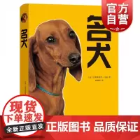 名犬 [法] 克里斯特尔·马泰 著 邓毓珂 译 上海文化出版社