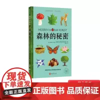 森林的秘密精装绘本科普启蒙翻翻书图画书长拉页+翻翻页让孩子亲近自然认识森林圆角设计中英双语自然词汇附音频青豆正版童书