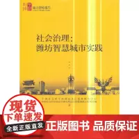 [正版书籍]社会治理-(潍坊智慧城市实践)