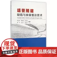 运营隧道缺陷与病害整治技术