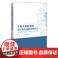 [正版书籍]开放式创新战略及其风险规避策略研究