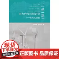 [正版书籍]“一带一路”电力合作国别研究——印尼和越南